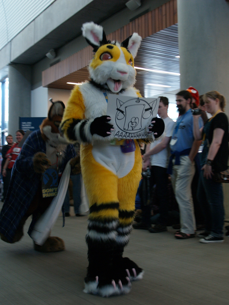 Illustration for article titled My Weekend At A Furry Convention